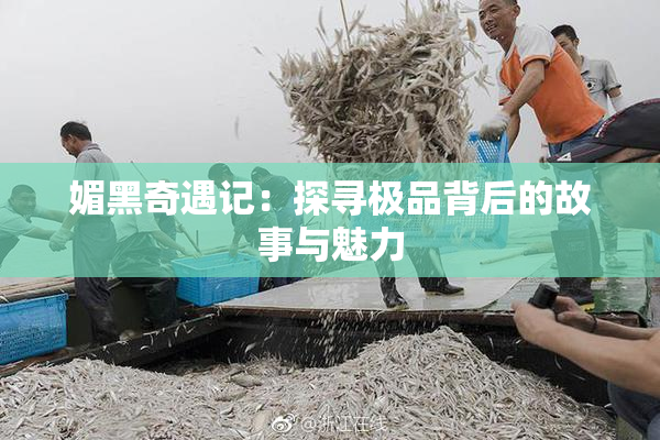 媚黑奇遇记：探寻极品背后的故事与魅力