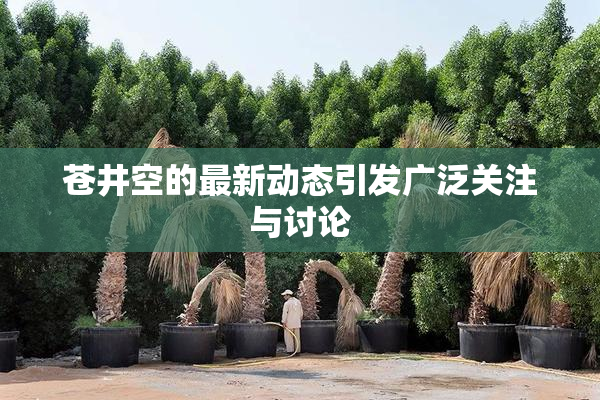 苍井空的最新动态引发广泛关注与讨论