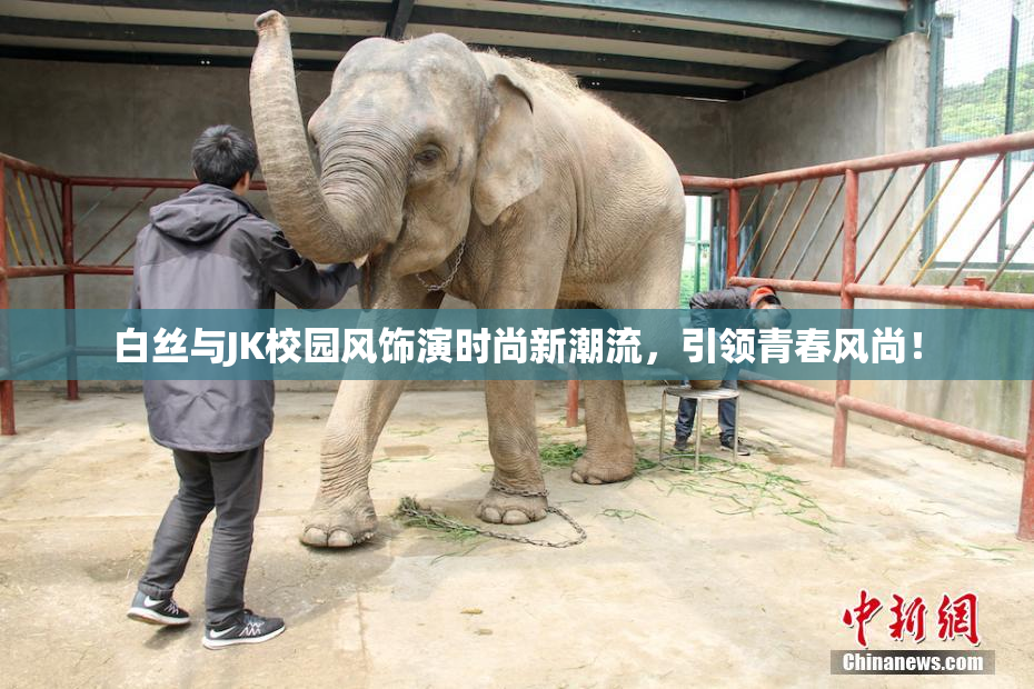 白丝与JK校园风饰演时尚新潮流，引领青春风尚！
