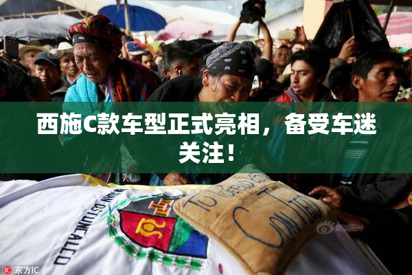 西施C款车型正式亮相，备受车迷关注！