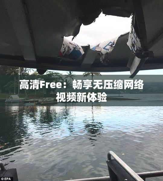 高清Free：畅享无压缩网络视频新体验