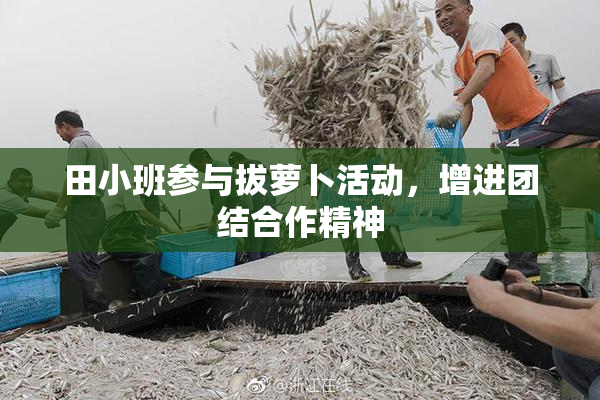 田小班参与拔萝卜活动，增进团结合作精神