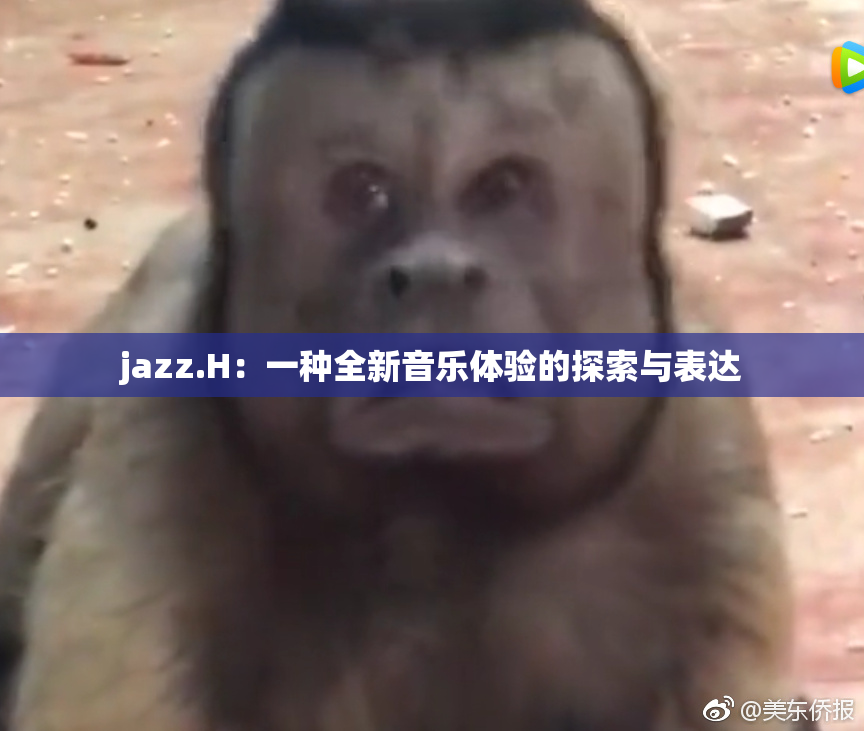 jazz.H：一种全新音乐体验的探索与表达