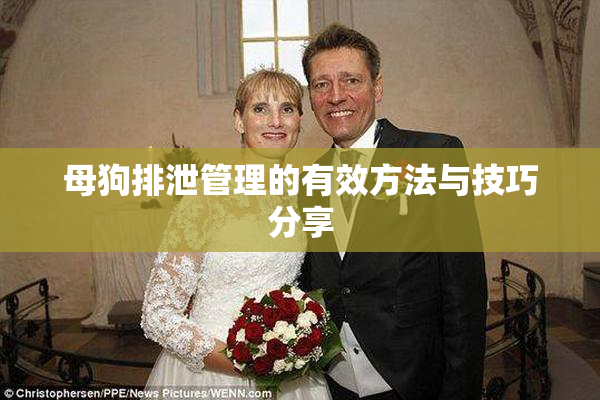 母狗排泄管理的有效方法与技巧分享
