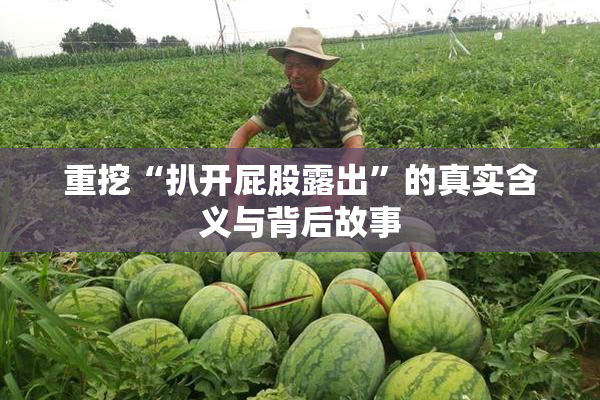 重挖“扒开屁股露出”的真实含义与背后故事