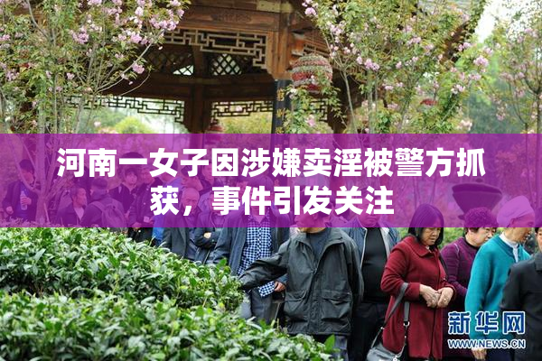 河南一女子因涉嫌卖淫被警方抓获，事件引发关注